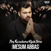 Mesum Abbas - Aey Rozadaron Khak Urao - Single